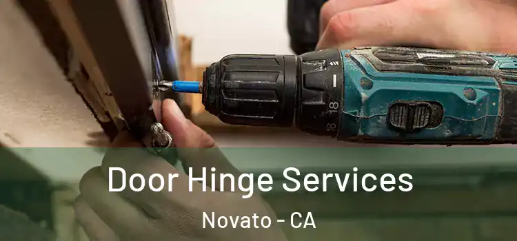  Door Hinge Services Novato - CA