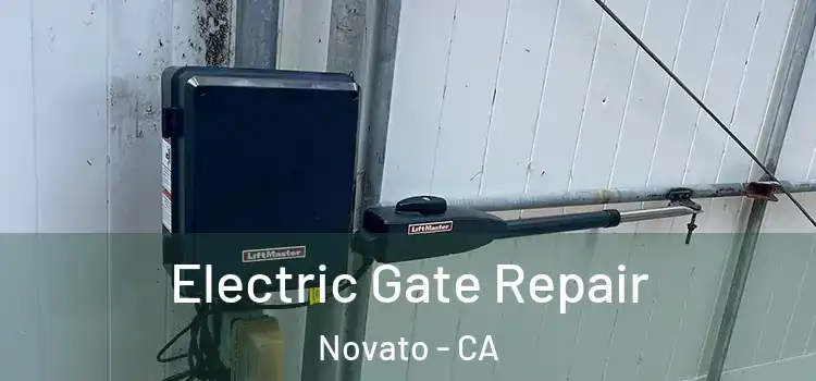  Electric Gate Repair Novato - CA