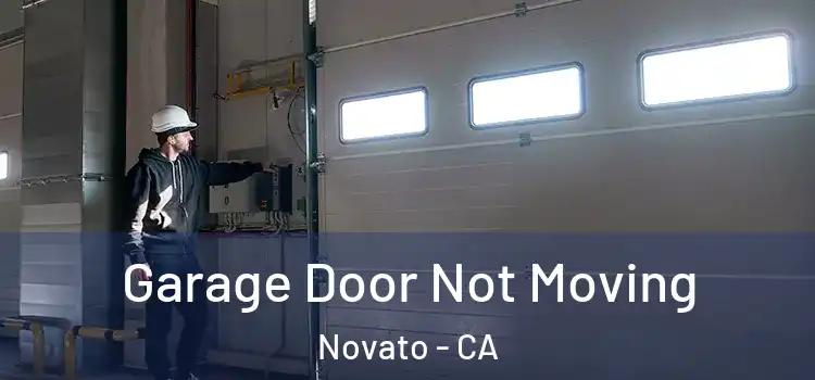  Garage Door Not Moving Novato - CA