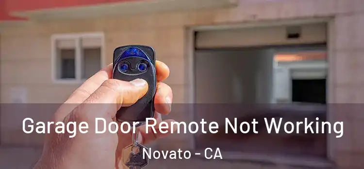  Garage Door Remote Not Working Novato - CA