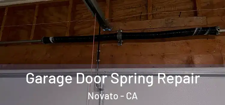  Garage Door Spring Repair Novato - CA