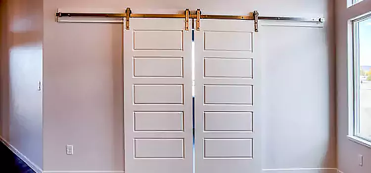 Glass Barn Door with Installation Hardware Kit Novato