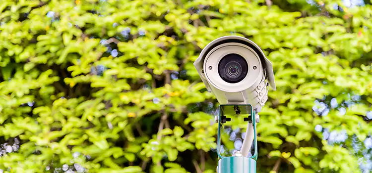 Advanced Surveillance Solutions for Every Need in Novato
