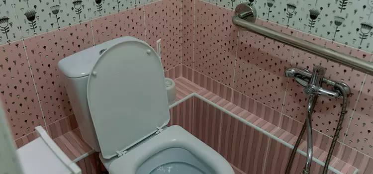 Meeting Diverse Needs With Accessible Restroom Solutions in Novato, CA