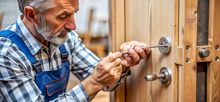 Mortise Replacement Lock Novato