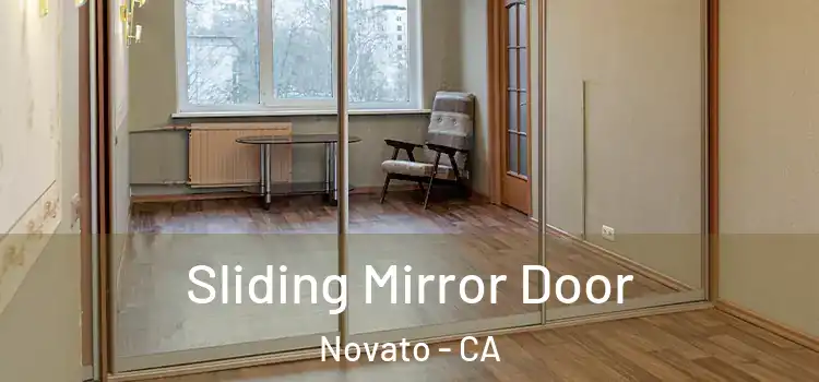  Sliding Mirror Door Novato - CA