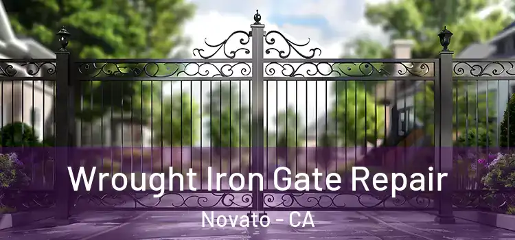  Wrought Iron Gate Repair Novato - CA